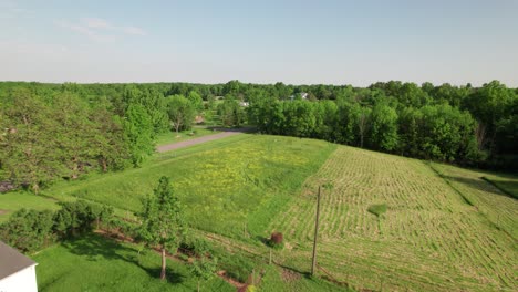 Aerial-view-of-barn-farm-with-big-trees-surrounded-on-a-sunny-day