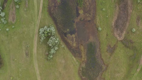 Agua-Atascada-En-El-Valle-Del-Terreno-De-Arenas-Deliblato-&quot;sahara-Europeo&quot;-En-Serbia