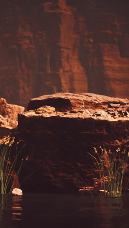 colorado river cuts through rock at grand canyon