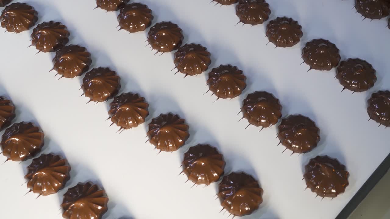 Movement of freshly made marshmallows covered in chocolate on a white conveyor belt. Confectionery factory