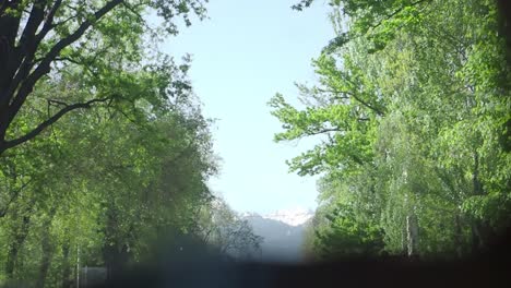 árboles bordeando un camino, con montañas en la distancia.