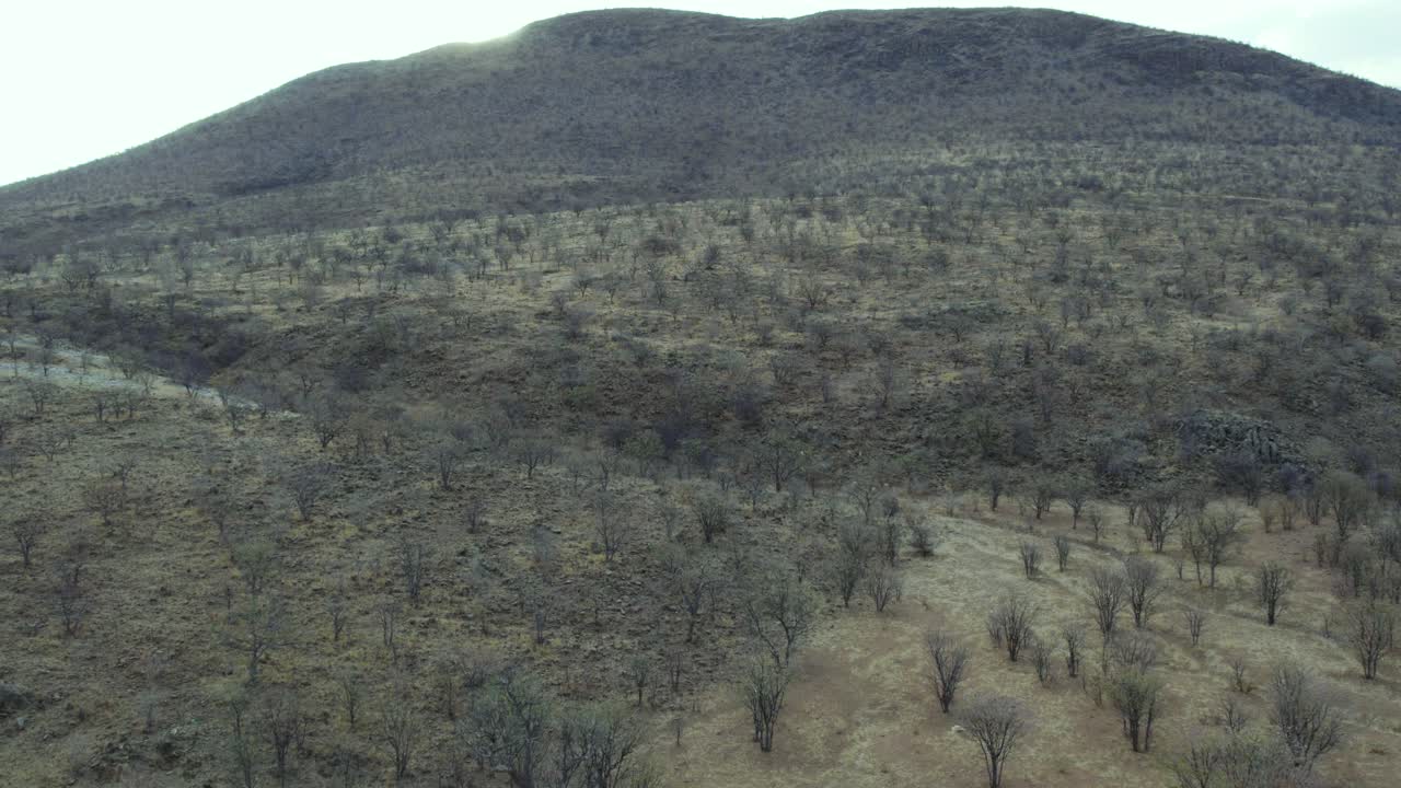 sunrise kaokoland, namibia, parque nacional de etosha, vista aérea de la ladera