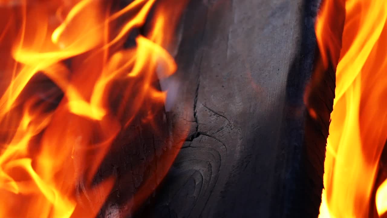 Background of the Fire. Campfire of the Branches Burn at Night in the Forest. Background of the fire. Red flames surging