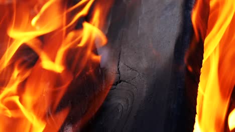 background of the fire. campfire of the branches burn at night in the forest. background of the fire. red flames surging