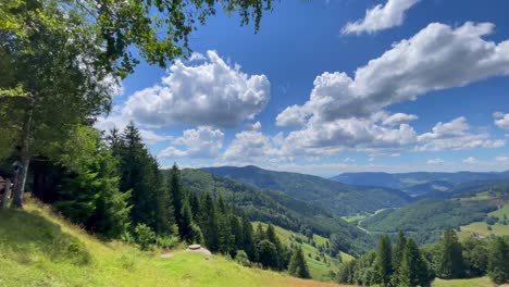 mountain view with forest and clouds