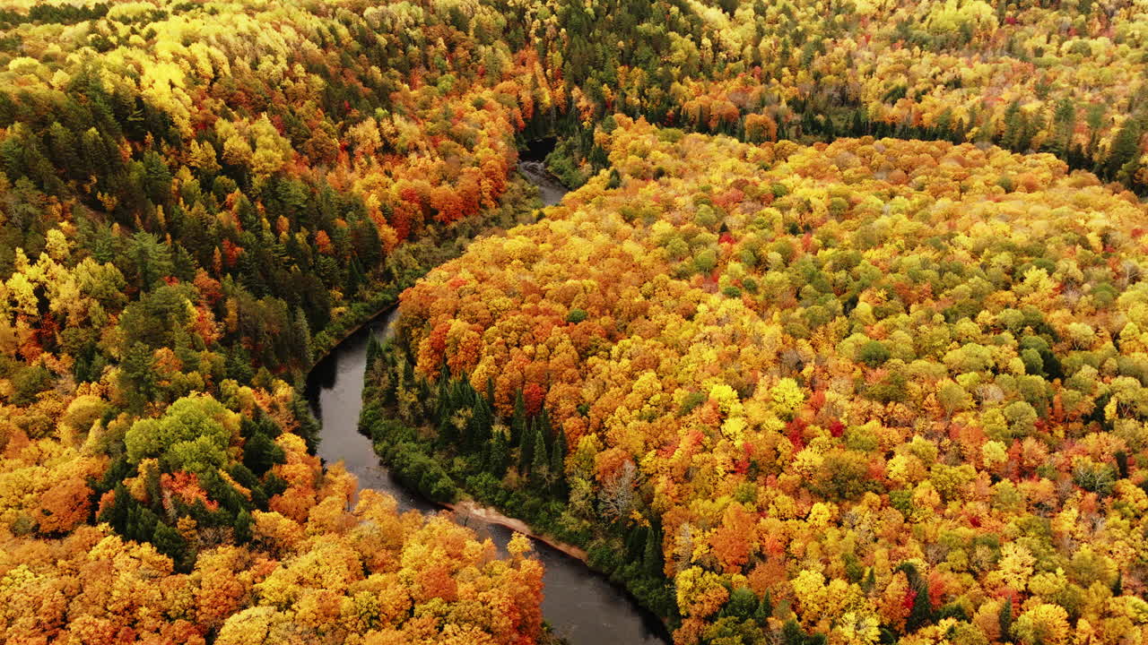 el valle del río sturgeon en pleno color otoñal en la península superior de michigan