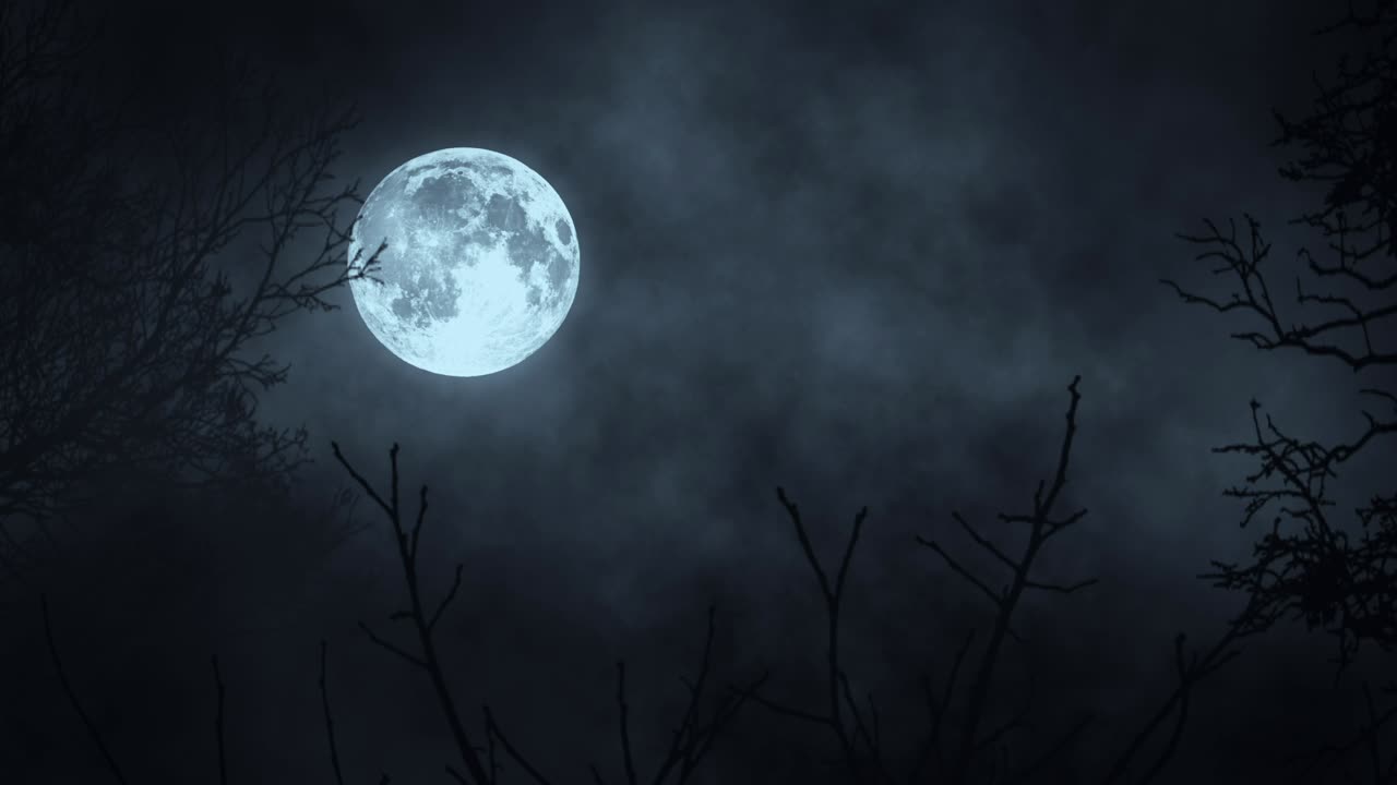 Full Moon in a Dark Forest
