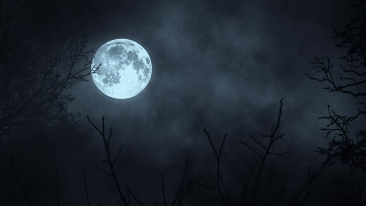 Full Moon in a Dark Forest