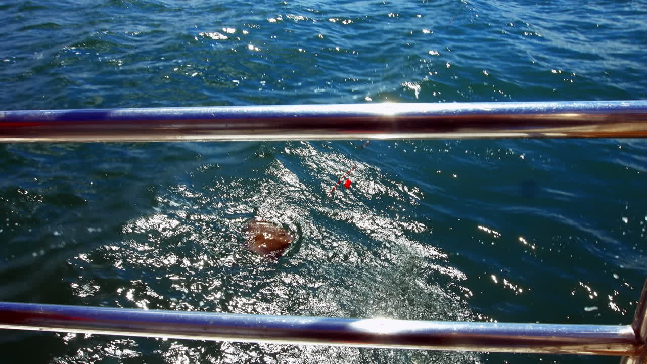 바다에서 항해하는 어선