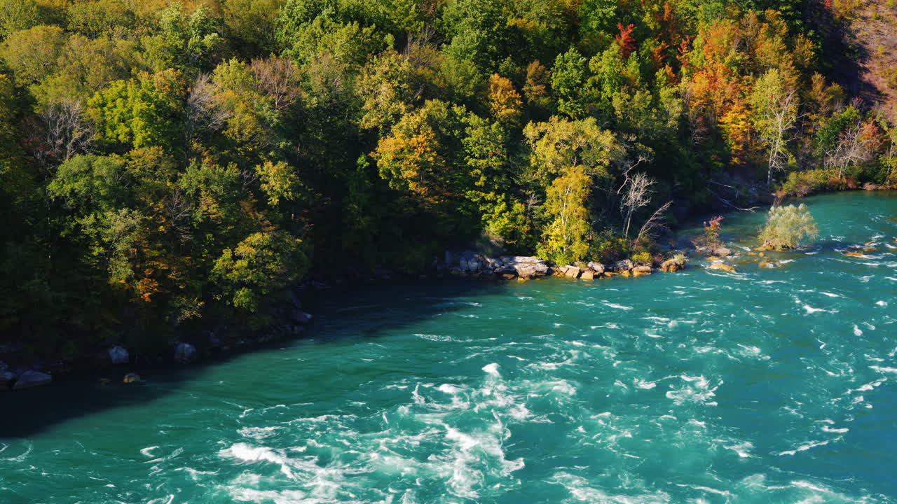 나이아가라 강둑의 숲
