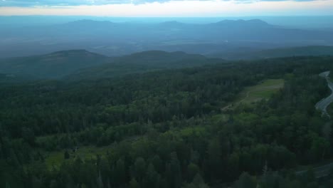 Lush-Green-Forest-And-Winding-Road-In-Denver,-Colorado,-USA