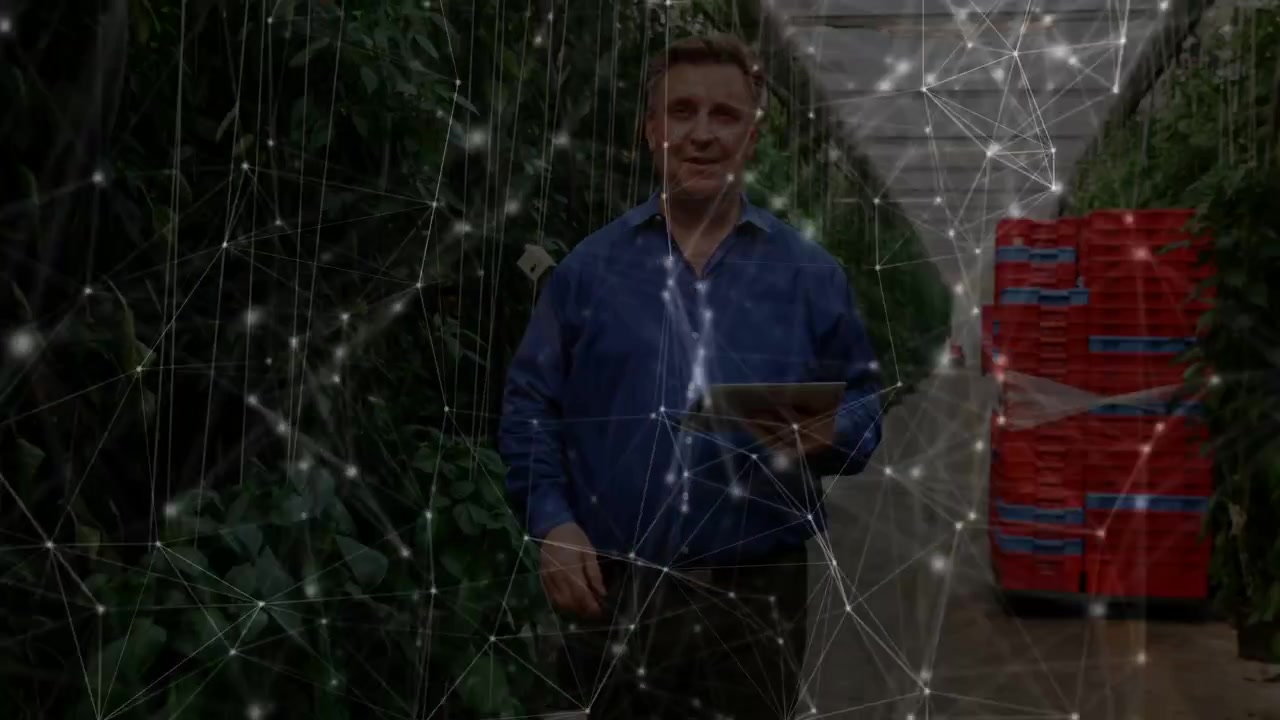 Greenhouse lead walking aisle, checking rows, tapping tablet logging data, faint net overlay on him