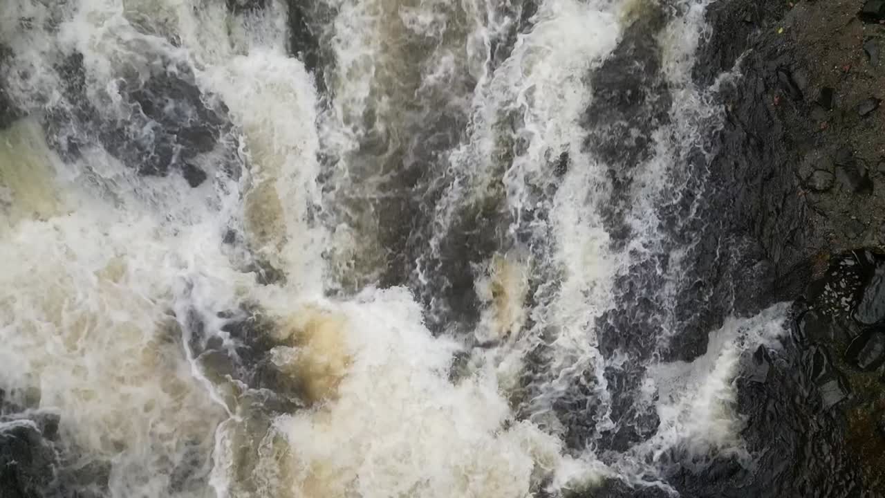 Atlantic Salmon leaping across a waterfall in Perthshire, Scotland. Bird's eye view