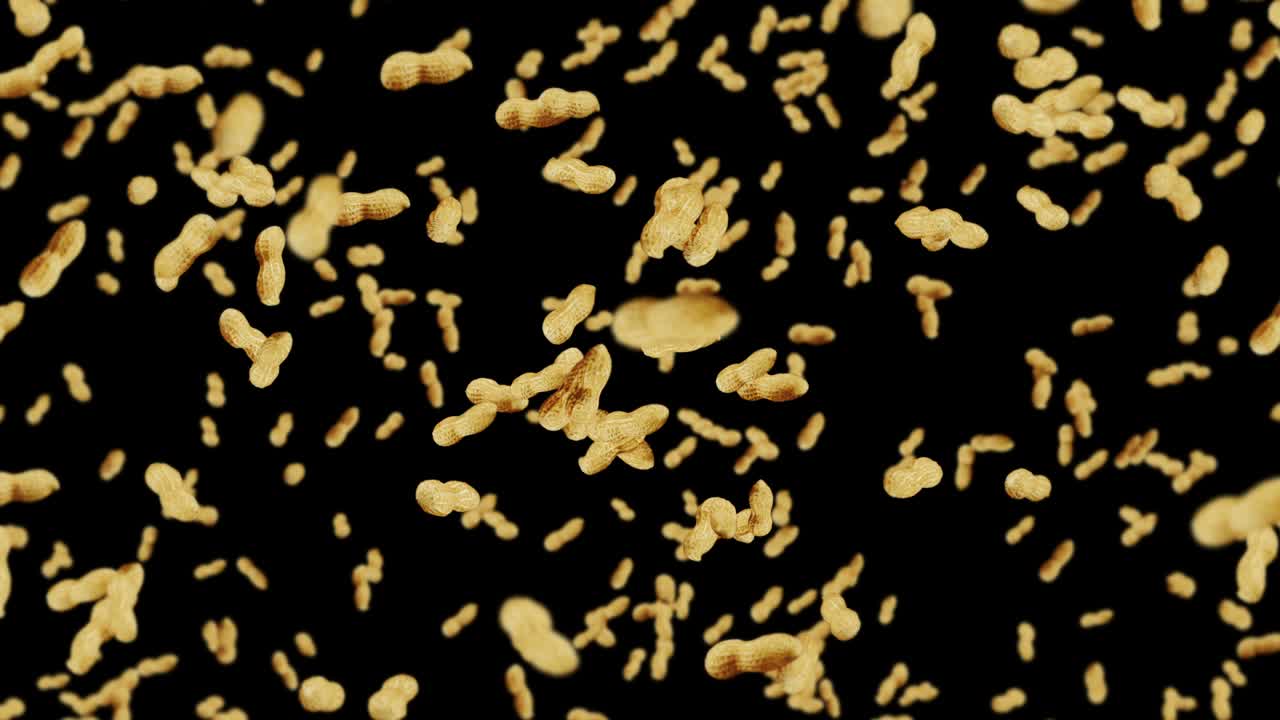 много арахиса на черном фоне. сырые арахис. арахис в оболочках. здоровая органическая еда. 3d цикл анимации семенного вращения.