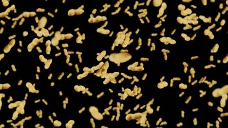 flying many peanuts on black background. raw peanuts. groundnuts in shells. healthy organic food. 3d loop animation of seed rotating.
