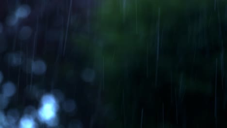 falling rain with dark nature bokeh background. selective focus shot