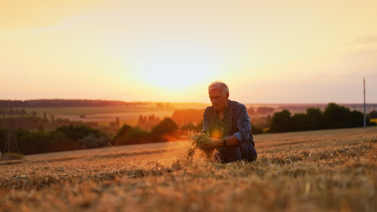 Elderly man walking in a field at sunset. An elderly man walks through a field at sunset, with a warm glow creating a serene atmosphere