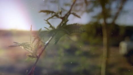 sunlight streaming through blurred greenery with subtle sparkling particles