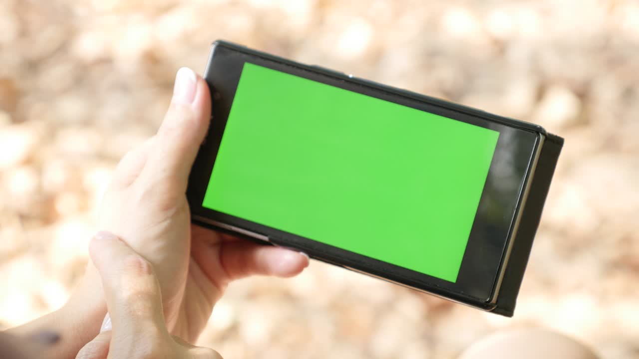 가을 환경에서 야외에서 인터넷을 서핑하는 여성 녹색 화면 디스플레이 4k