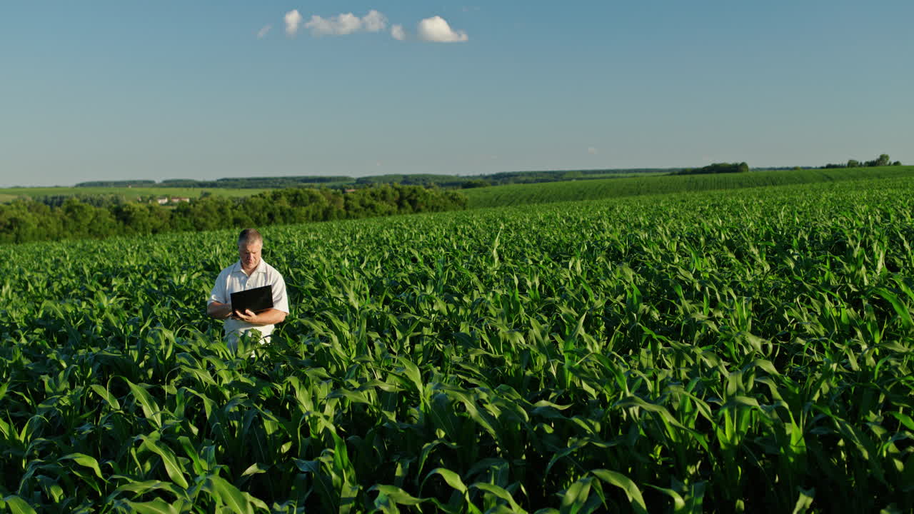 agricultor usando una computadora portátil en un campo de maíz