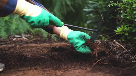 close up of gardening skilled hands weeding in the garden and preparing soil for the next sowing of new plants