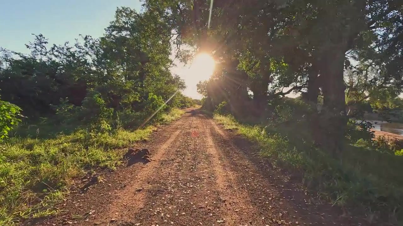 Vista desde el punto de vista del conductor en un camino de tierra salpicado de sol a lo largo del río Shingwedzi en Kruger