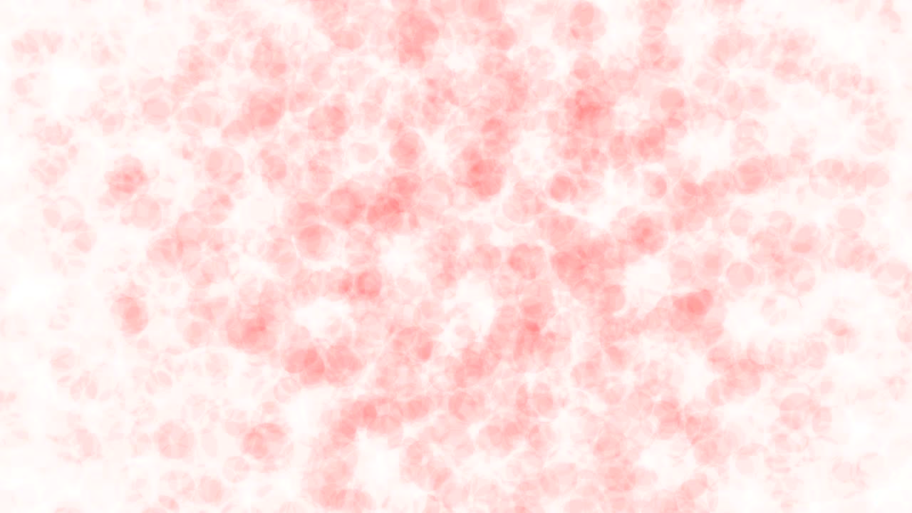 Abstrakte, isolierte, verschwommene rote Partikel bewegen sich mit Bokeh. Funkelnde kreisförmige Punkte in Bewegung. 3D-Animation.