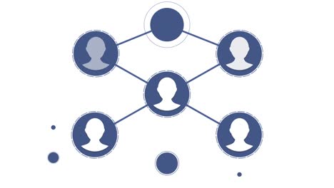 conexiones con las redes sociales