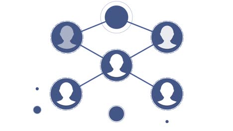 social network connections