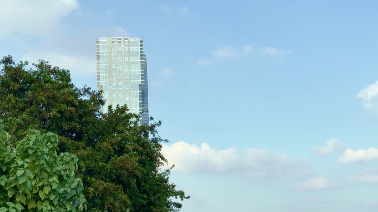 A dynamic view of a jet plane flying over a contemporary skyscraper with lush green foliage in the foreground, set against a clear blue Miami sky, embodying urban vibrancy and travel.