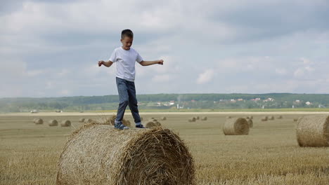 little boy in field. beautiful boy walking in a field with straw