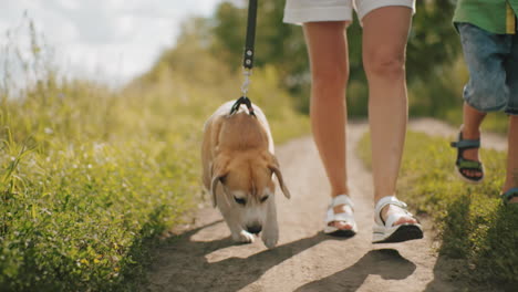 leg view of people walking on dirt path with happy dog on leash, tongue out, enjoying fresh air, with partial view of other children in background, surrounded by lush greenery under bright sunlight