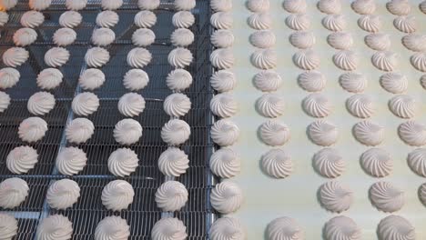 sweet pink swirled marshmallow moves on a conveyor belt. confectionery factory for the production of natural sweets. automation of industry