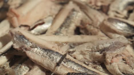fresh sea sardines and anchovy fish and mullus on display on ice on market store shop. seafood fish background, close up stand of small salty white fish.