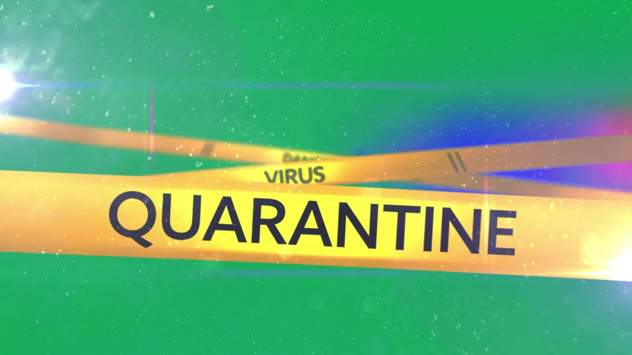 Corona Virus on Alpha Channel