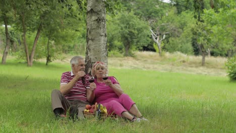 Picnic-Familiar-De-Fin-De-Semana-En-El-Parque.-Pareja-De-Ancianos-Sentados-Cerca-De-Un-árbol,-Comiendo-Frutas,-Bebiendo-Vino