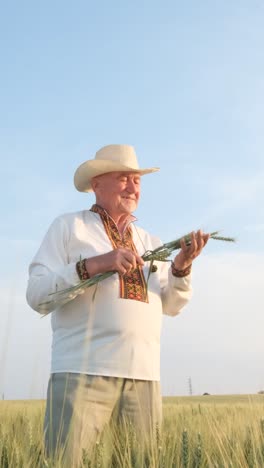 a happy old ukrainian grandfather in an embroidered jacket holds young wheat sprouts and kisses them a happy old ukrainian grandfather in an embroidered jacket holds young wheat sprouts and kisses them a farmer in the middle of a field against a blue sky honor and praise of bread