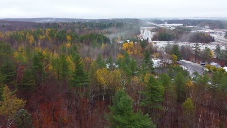 early winter snowfall dots the landscape of canadian forests