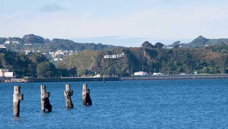 Scenic harbour view with big Wellington sign in the hills in capital city of Wellington, New Zealand Aotearoa
