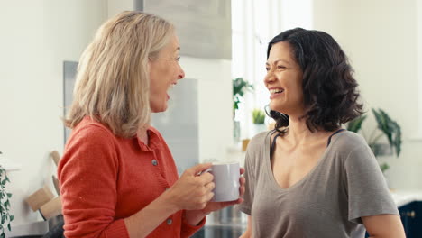 loving same sex mature female couple drinking coffee and talking in kitchen together