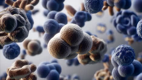 microscopic cells or organisms