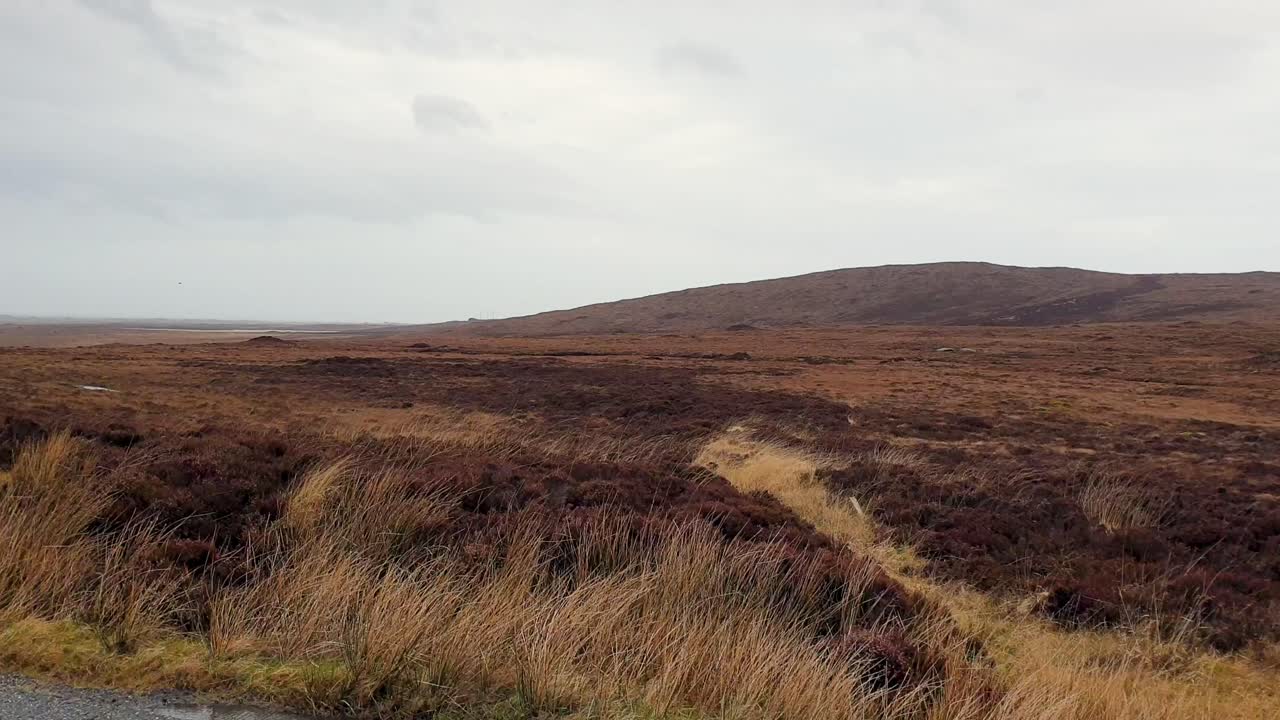 Öde Moorlandschaft unter bedecktem Himmel