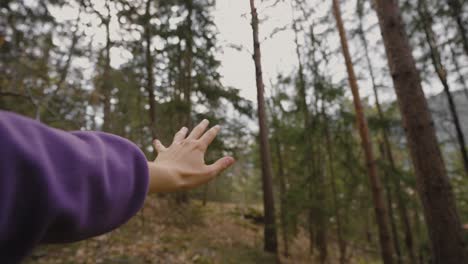 manos jugando en el aire en medio de los bosques de italia