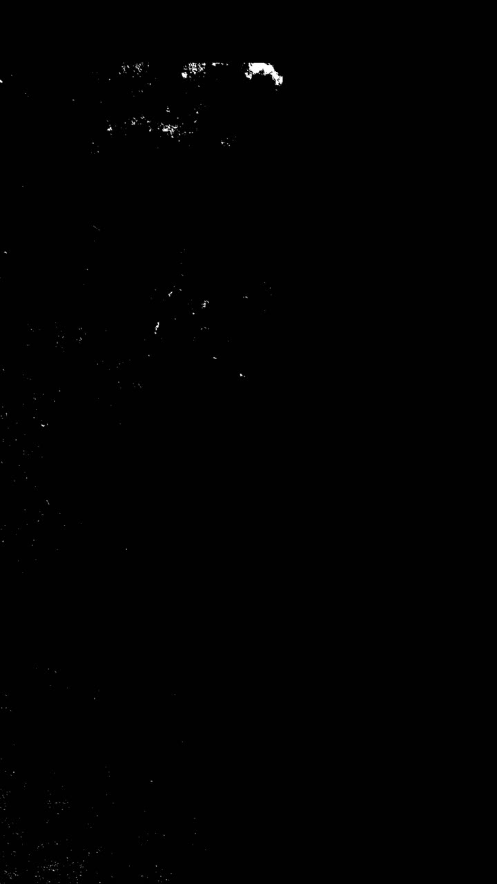 Abstract Black and White Grunge Texture Overlay