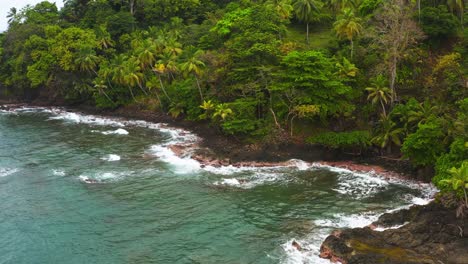 closeup on panama jungle lush wilderness tropical coastline, waves breaking on shoreline