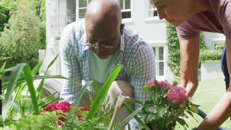 Happy-senior-diverse-couple-wearing-shirts-and-working-in-garden