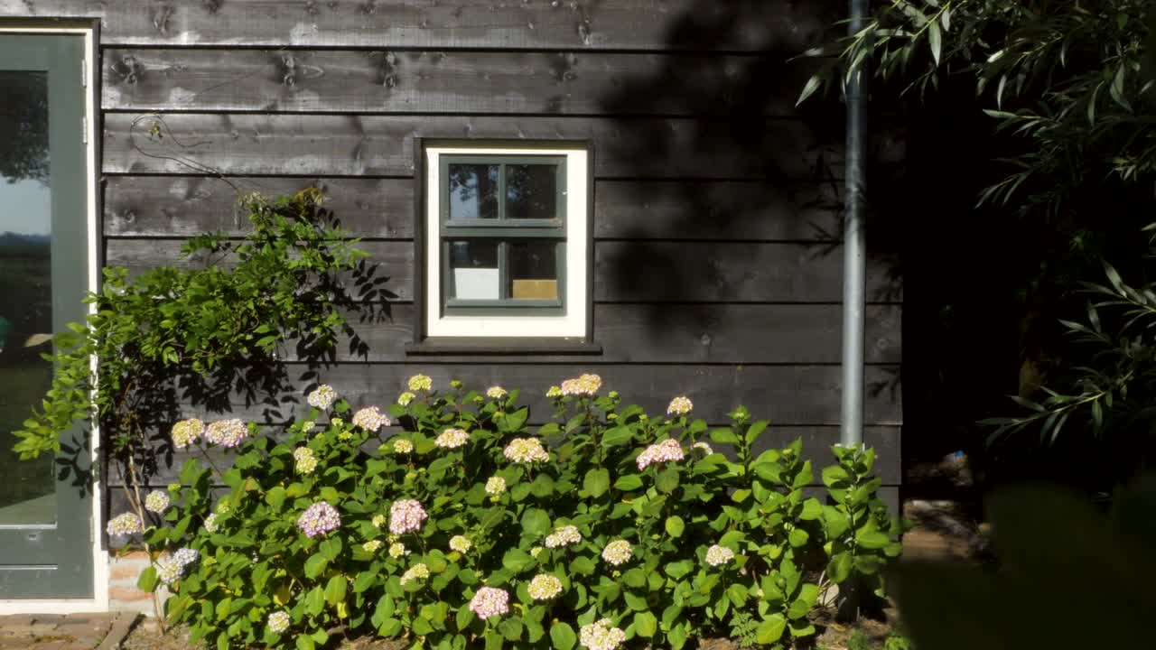 과부 에 있는 정원 꽃 덤불