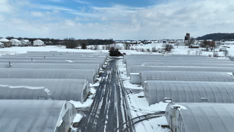 Aerial-flyover-of-industrial-greenhouses-on-a-sunny-day