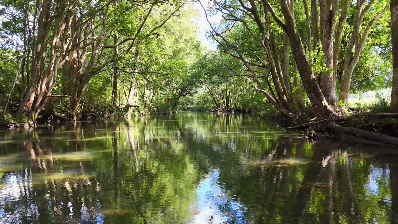 A tranquil river flows through a dense, sunlit forest, captured with smooth camera movement and vibrant natural colors