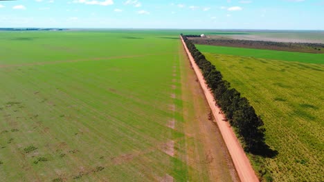 Plantaciones-De-Soja-A-Gran-Escala-En-Brasil-Entre-Una-Carretera